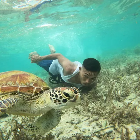 Moalboal Indino'S Guesthouse Sardines Run And Sea Turtle 1 Minute Walking Distance